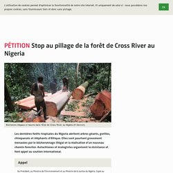 Stop au pillage de la forêt de Cross River au Nigeria