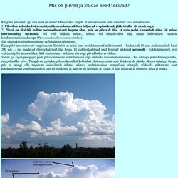 Pilved ja nende tekkimine