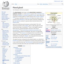 Pineal Gland