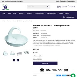 Pioneer Pet Swan Cat Drinking Fountain White at Kwik Retail LLC
