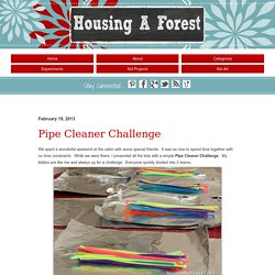 Pipe Cleaner ChallengeHousing a Forest