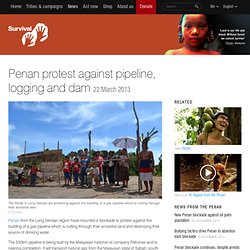 Penan protest against pipeline, logging and dam