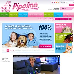 Site Officiel - Commandez Pipolino pour chat, chien, cheval...