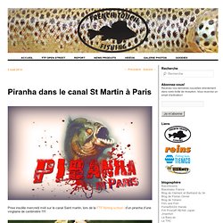 Piranha dans le canal St Martin à Paris