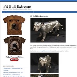 Pit Bull Plate Dog Armor