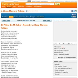 El Pitirre De Mi Árbol Poem by J. Rosa Marrero Toledo