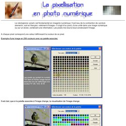 La pixellisation en photo numérique