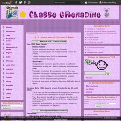 CLIS : Place de la CLIS dans l'école