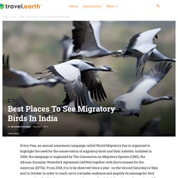 Best Places To See Migratory Birds In India