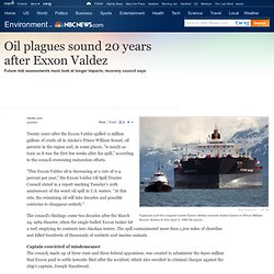 Oil plagues sound 20 years after Valdez - US news - Environment