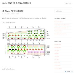 Le plan de culture – La Montée Bonachoux