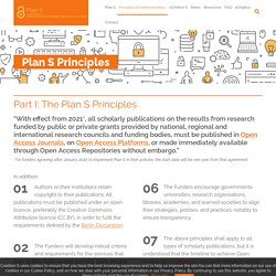 Plan S Principles