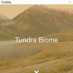 Blue Planet Biomes - Tundra Biome