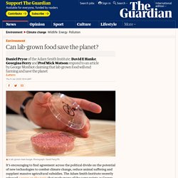 Can lab-grown food save the planet?