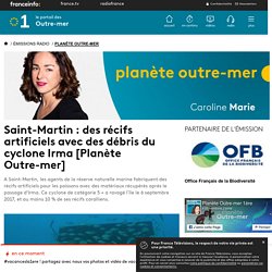 Planète outre-mer – Saint-Martin : des récifs artificiels avec des débris du cyclone Irma [Planète Outre-mer] – Outre-mer la 1ère