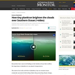 How tiny plankton brighten the clouds over Southern Ocean