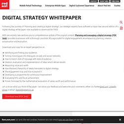 2011 - Digital strategy whitepaper from Red Ant