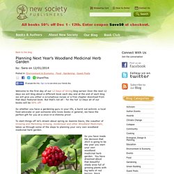 Planning Next Year’s Woodland Medicinal Herb Garden