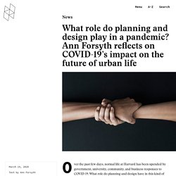 What role do planning and design play in a pandemic? Ann Forsyth reflects on COVID-19's impact on the future of urban life - Harvard Graduate School of Design