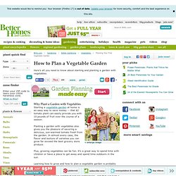 Planning Your First Vegetable Garden