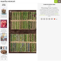 Vegetable Garden Planning – Martha Stewart
