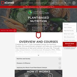 Certificate in Plant-Based Nutrition