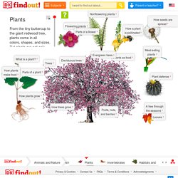 Plant Facts - DK Find Out