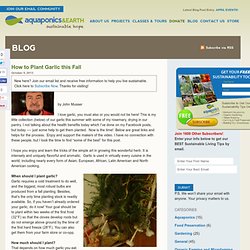Planting Garlic this fall! « Aquaponics and Earth Aquaponics and Earth
