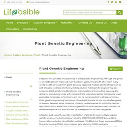 Plant Genetic Engineering - Lifeasible