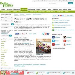 Plant Grow Lights: Which Kind to Choose