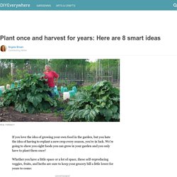 Plant once and harvest for years: Here are 8 smart ideas