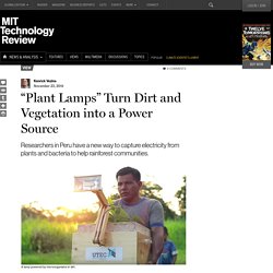 “Plant Lamps” Turn Dirt and Vegetation into a Power Source