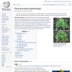 Plant perception (physiology)