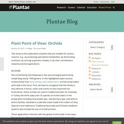 Plant Point of View: Orchids