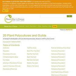20 Plant Polycultures and Guilds