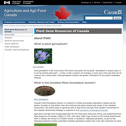 Plant Gene Resources of Canada