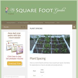Plant Spacing - My Square Foot Garden