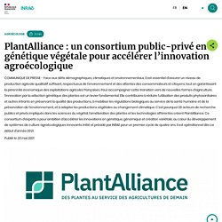 INRAE 20/05/21 PlantAlliance : un consortium public-privé en génétique végétale pour accélérer l’innovation agroécologique