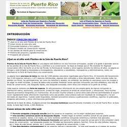 Plantas de Puerto Rico/Plants of Puerto Rico
