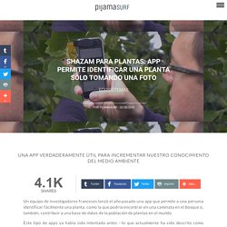 Shazam para plantas: app permite identificar una planta sólo tomando una foto
