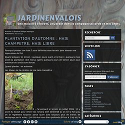 PLANTATION D'AUTOMNE : HAIE CHAMPETRE, HAIE LIBRE - jardinenvalois