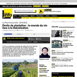 Droits de plantation : le monde du vin face à la libéralisation - Le Plus France Info - Économie