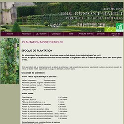 2. PLANTATION MODE D'EMPLOI - Vente d'arbres fruitiers. PÃ©piniÃ¨res d'arbres fruitiers, Les Arbres Eric Dumont