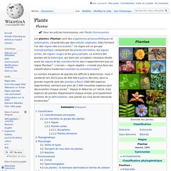 Plante