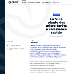 Paris plante des micro-forêts à croissance rapide