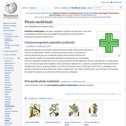 Plante medicinale