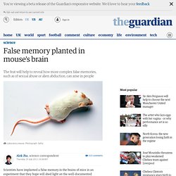 False memory planted in mouse's brain