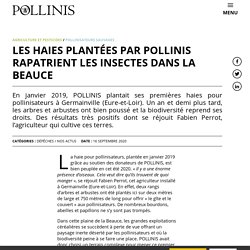 Les haies plantées par POLLINIS rapatrient les insectes dans la Beauce - Le 16 sept. 2020