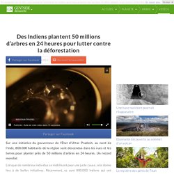 Des Indiens plantent 50 millions d’arbres en 24 heures pour lutter contre la déforestation