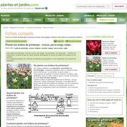 Planter les bulbes de printemps : crocus, perce-neige, tulipe...
